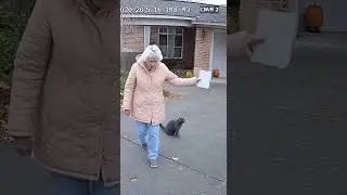 Elderly Woman Argues with Her Cat 😂🐾