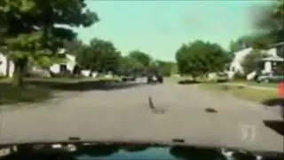 Police Chase In Ferndale, Michigan.