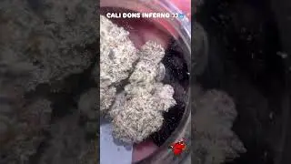CDI ⛽️⛽️😮&zwj;💨 #CALIPLUG #purplelabel