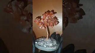Fall Beauty is here🍂 look at the twirls..#crystalshop #carnelian #crystals