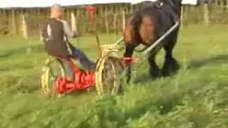 maaien met  trekpaard