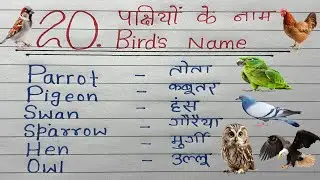 20 Birds Name in English and Hindi | 20 पक्षियों के नाम हिन्दी और अंग्रेज़ी में | Birds Name 