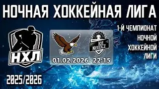 01.02.2026. 1-й Чемпионат НХЛ. Минские Ястребы - Ice Needl'z-2