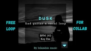 [FREE LOOP] Sad acoustic guitar x vocal loop 