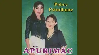 Tu Nomas Tienes la Culpa