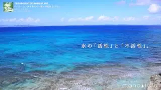 ACOON HIBINO / VOYAGE 「心と体を整える～愛の周波数528Hz～」より