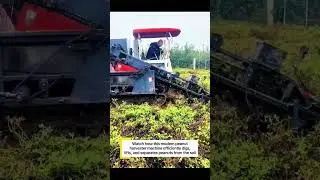 Modern Peanut Harvester Machine | Amazing Groundnut Harvesting Technology