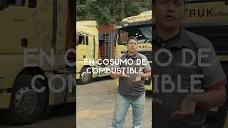 Sinotruk 48 toneladas - Testimonial