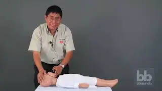 Reanimación cardiopulmonar (RCP) en niños -- bbmundo primeros auxilios