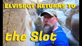 Elvisboy Returns to The Slot!