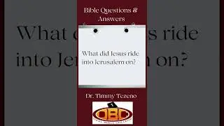 What did Jesus ride into Jerusalem on? #quiz #quotes #biblicalstudies #motivation #wisdom #theology