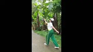 Shuttle Control Challenge in Pathfit