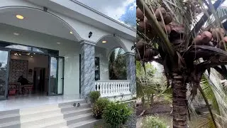 @T1473 Bán Nhà Vườn Dừa Và Nhiều Loại Cây Ăn Trái Đường ÔTô Nhà Đẹp Xã Tân Lý Đông