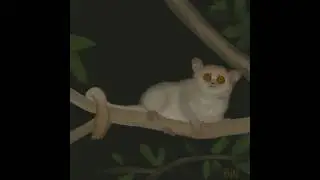 Lemur