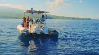 Cocoboat - Sorties bateau &agrave; La R&eacute;union