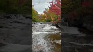 Relaxing Sounds of Waterfall | Nature Sounds | Nature Sounds for Sleeping Deep #shorts