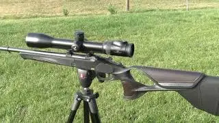 Kapitaler, abnormer Damhirsch mit Blaser K95 Ultimate in der Brunft