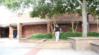 Old spot, new tricks