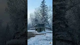 Замерзший городской оазис Калгари