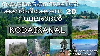 കൊടൈക്കനാലിൽ കണ്ടിരിക്കേണ്ട പ്രധാനപെട്ട സ്ഥലങ്ങൾ | Best Tourist spots to visit in Kodaikanal