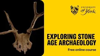 Exploring Stone Age archaeology (free online course)