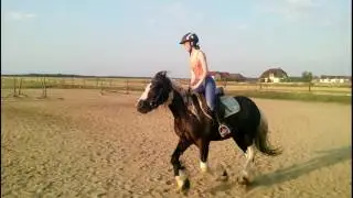 Ardena 2016.06.24 Jazda na Rico