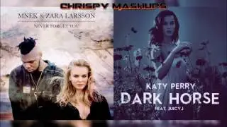 Zara Larsson & Katy Perry - Never Forget You / Dark Horse Mashup