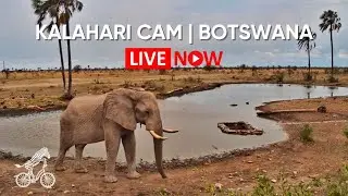 Kalahari Salt Pan | Conservation Live Cam