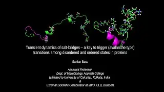 Talk on Salt-bridge dynamics in Protein-disorder delivered @ BITS hyderabad, Sept, 2021