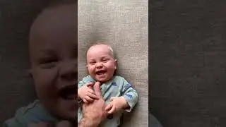 Try not to laugh challenge #36 #shorts #Babytastic
