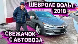 Осмотр  Шевроле Вольт 2018 после Получения из США . Работает Флорида 56