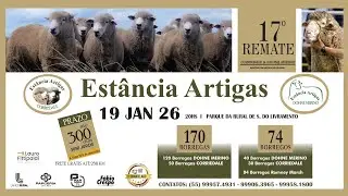 17&ordm; REMATE CORRIEDALE & DOHNE MERINO EST&Acirc;NCIA ARTIGAS