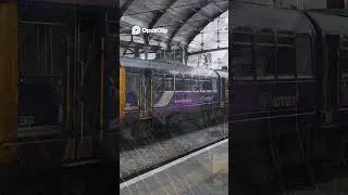 Colorful Train Spotting  Yellow, Blue & Purple Rolling Through! #newcastle #city #station #railway
