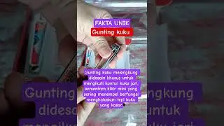 #mainan FAKTA unik tentang gunting kuku #shorts