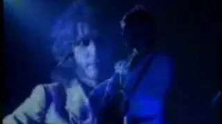 YOU AM I's Tim Rogers Hourly Daily