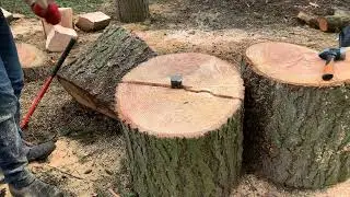 Amazing Chainsaw Wood Cutting 