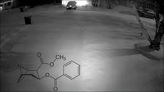 Nipawin car theft caught on home security camera 
