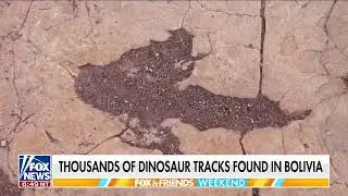 Paleontologists claim they&rsquo;ve discovered the world&rsquo;s largest dinosaur track site in Bolivia.