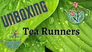 Unboxing Tea Runners subscription (June)