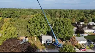 Large Tree Removal 