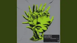 Magnet