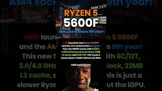 AMD launches Ryzen 5 5600F, another CPU for AM4 socket