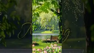 Good Morning 🌞#lik#sher#suckriber#