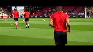 Richarlison 2017 - Amazing Skills & Goals - Watford FC | HD