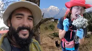 Восхождение на Гималаи во время Короны (Mardi Himal) ~ 323