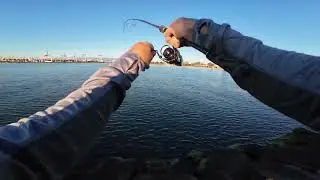 Melbourne fishing is tough! It&rsquo;s not all beer and skittles. 