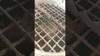 Vermiculite fire resistant paint