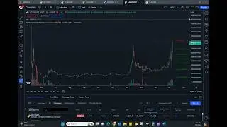 Milady Meme Coin Live Update Passes 0.0000002
