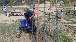 Laurel Canyon dog park tree watering