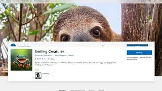 Installing Windows 10 Themes
